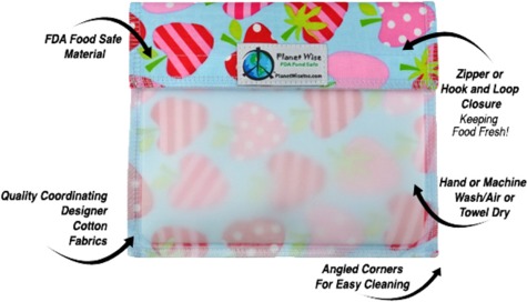 Planet Wise Reusable Window Bag