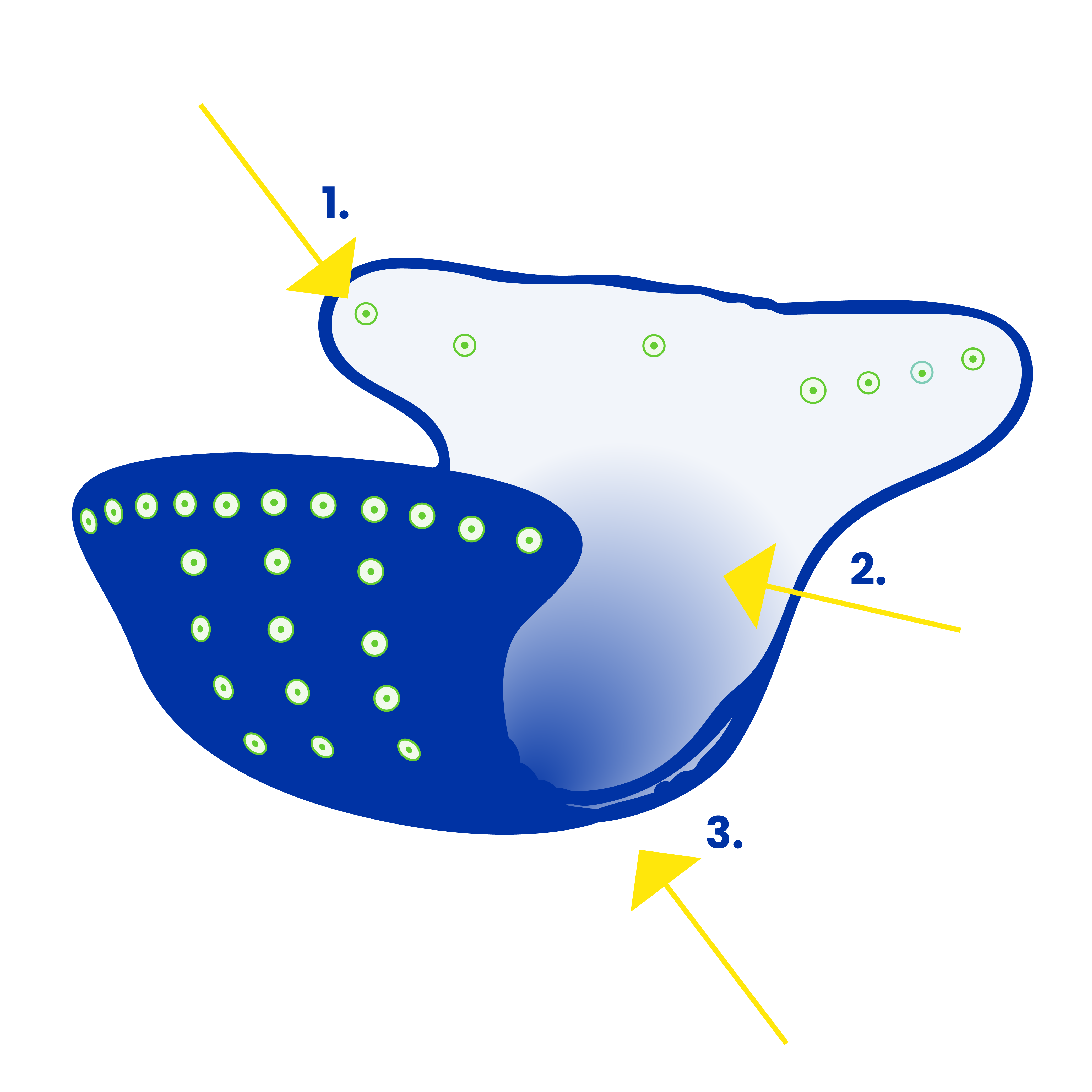 Best Bottom Diaper Drawing